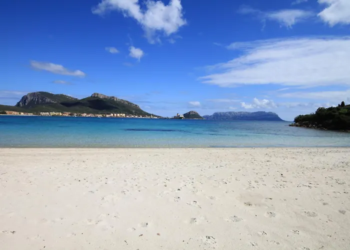 Ginepro * Golfo Aranci